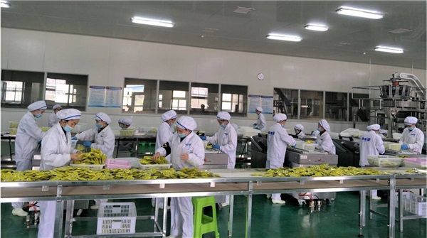 花生壳助力食品连锁企业打造智能安全管理系统，提升安全风险管控力