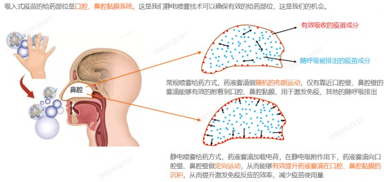 我国研发出“吸入式疫苗靶向给药装置”，实现药剂全覆盖