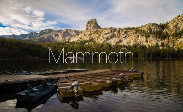 曝苹果公司“Mammoth”商标获得延期 或将用于macOS 13