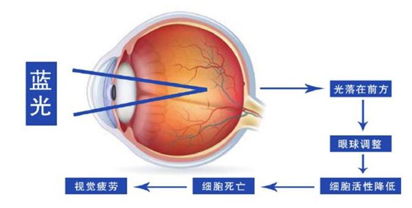 双屏的电子墨水显示器，你见过么？ 图2