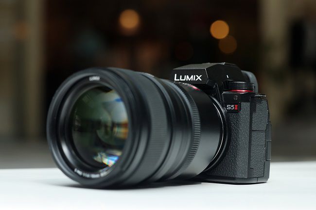 令人印象深刻的自动对焦性能，使用松下LUMIX S5M2拍摄宠物有感 图2