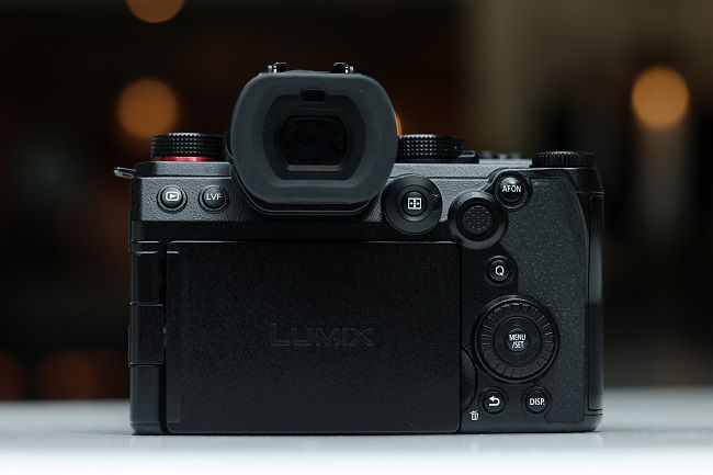 令人印象深刻的自动对焦性能，使用松下LUMIX S5M2拍摄宠物有感 图3