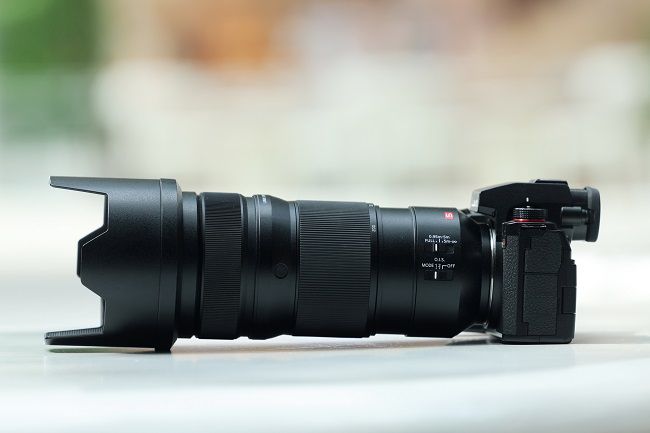 令人印象深刻的自动对焦性能，使用松下LUMIX S5M2拍摄宠物有感 图4