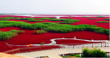 红海滩国家风景廊道景色 图3